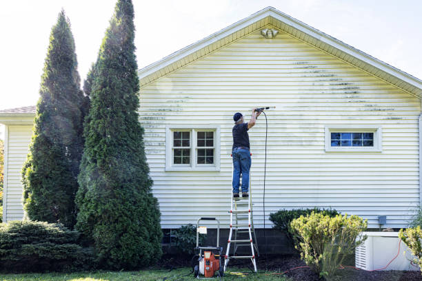 Best Deck Pressure Washing  in Hackleburg, AL