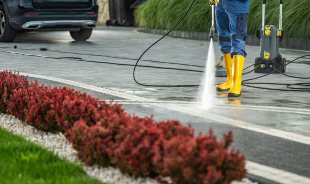 Best Pressure Washing Near Me  in Hackleburg, AL
