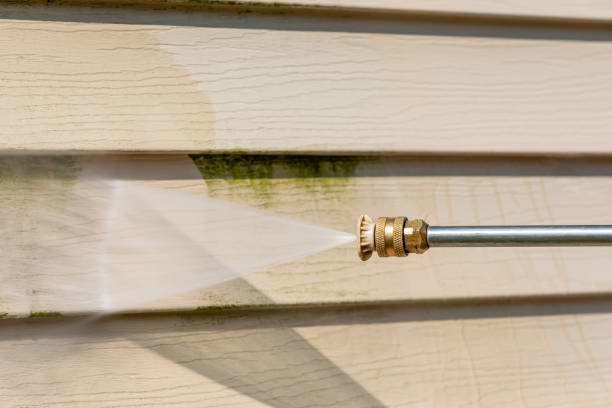 Best Roof Pressure Washing  in Hackleburg, AL