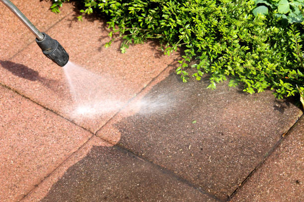 Best Pressure Washing Cost  in Hackleburg, AL